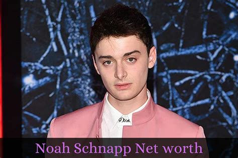 noah schnapp vermögen|Noah Schnapp Net Worth: How Much Fortune Does The。